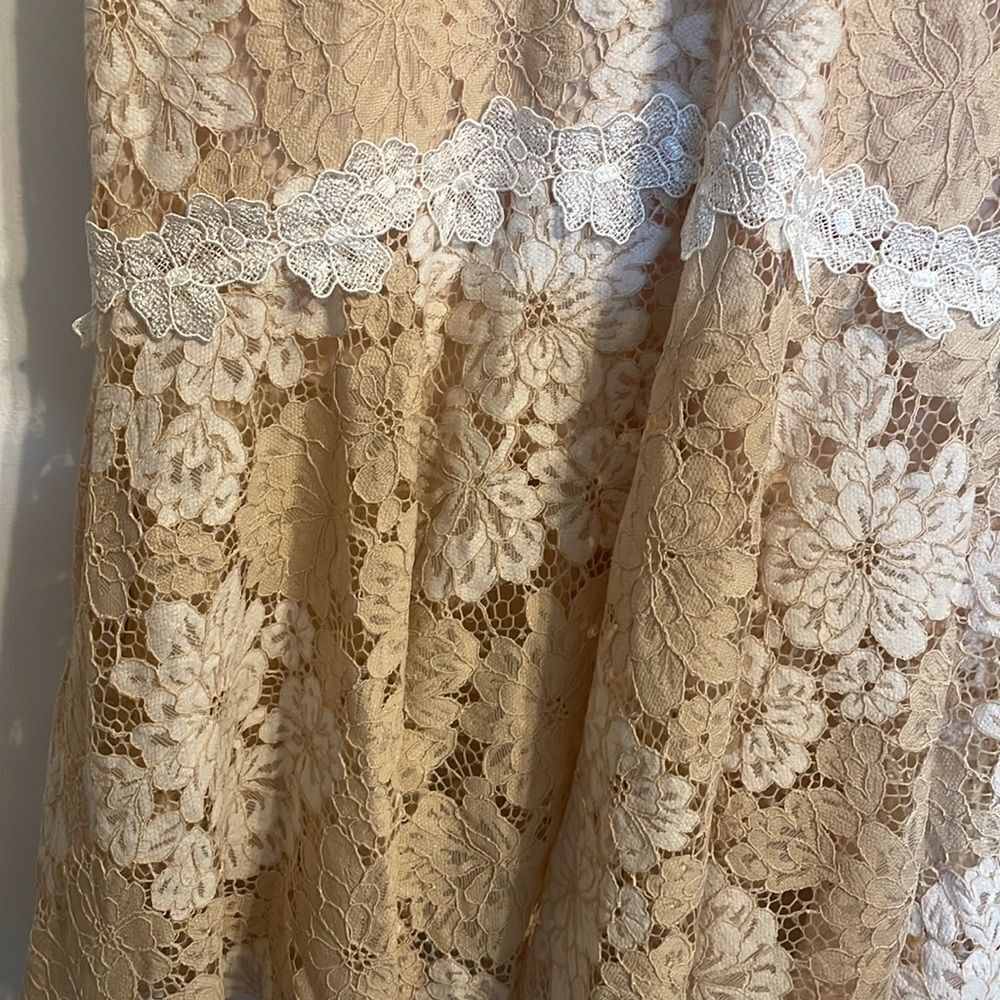 Saylor Maggie Lace Sheath Dress Beige Cream M - Picture 8 of 9